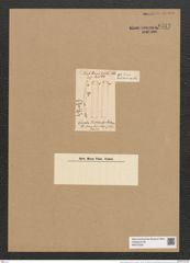 Eunotia ventriculus Schum. (de-Toni-Nr.: Genus 104, Species 3164) Zeichnungen Sammlung Grunow Nr. 6513 (NHMW-BOT-W0375226)